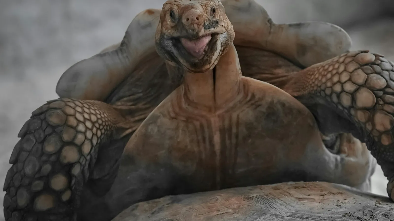 pexels-ali-alfaris-2148661416-34859910