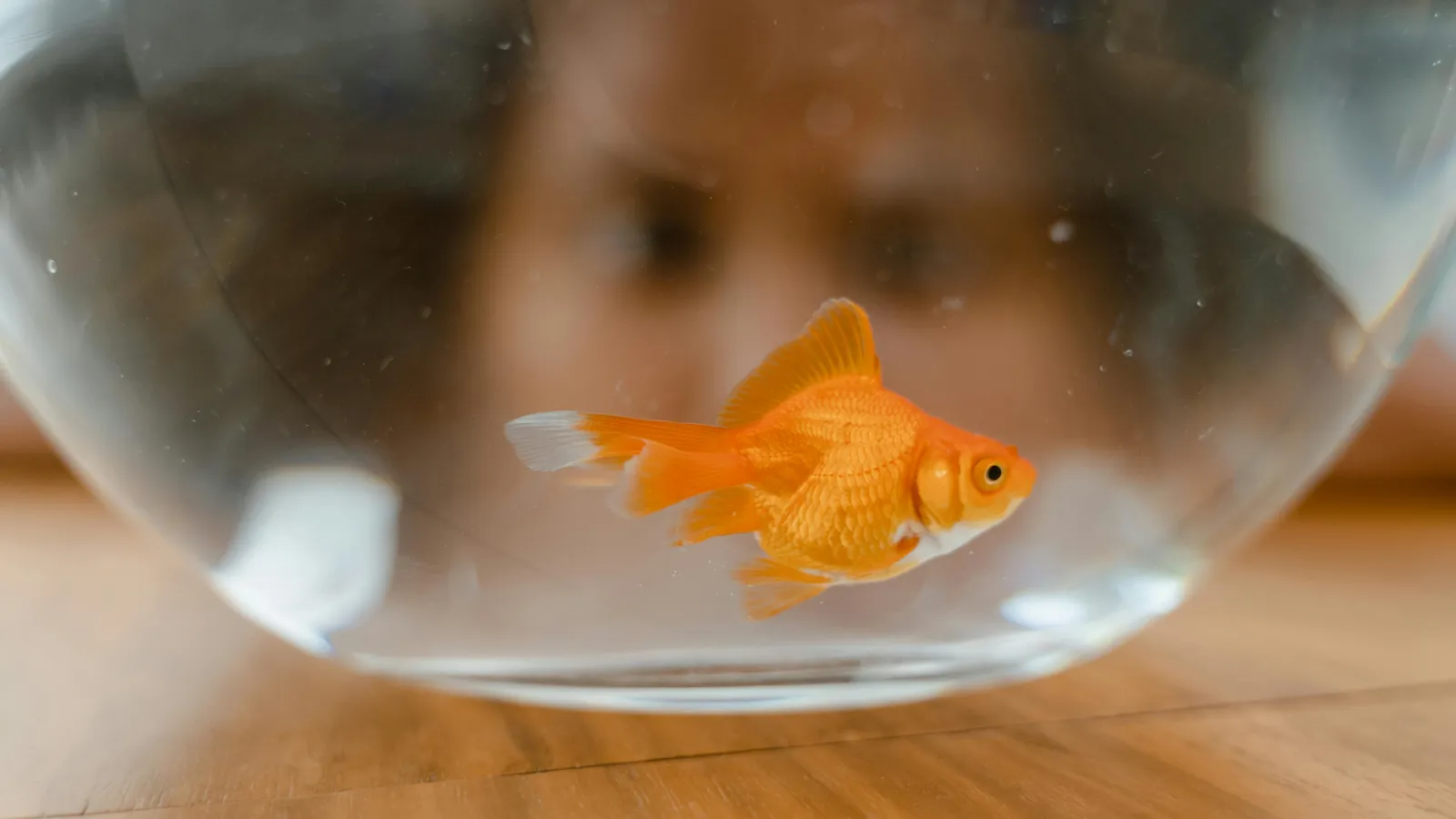 pexels-mart-production-8434607